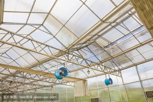 玻璃温室glass green house photo