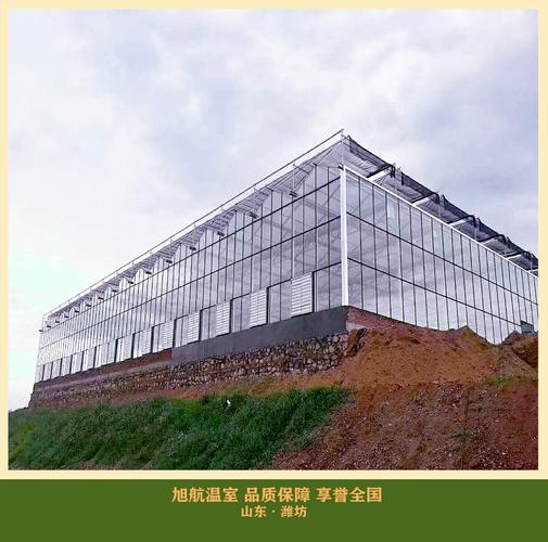 智慧农业大棚的设计智能化玻璃温室大棚全自动玻璃温室大棚