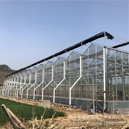 玻璃温室大棚养泥鳅 广西模式与玻璃温室特点解析
